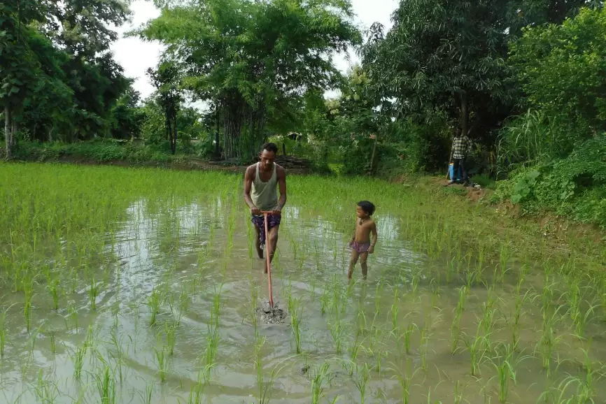 Climate and Environment