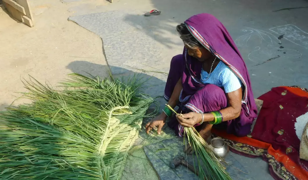 Livelihood & Sustainable Income