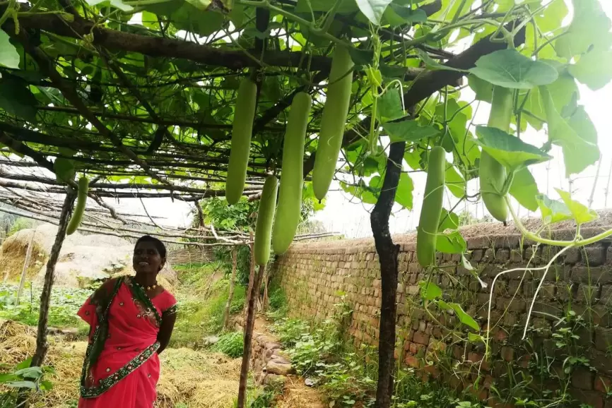 Leading the Green Revolution with Women Farmers